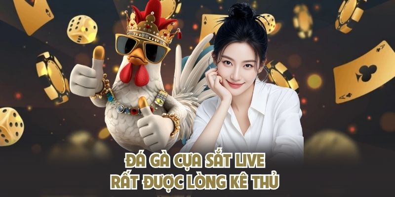 Đá gà cựa sắt live rất được lòng kê thủ