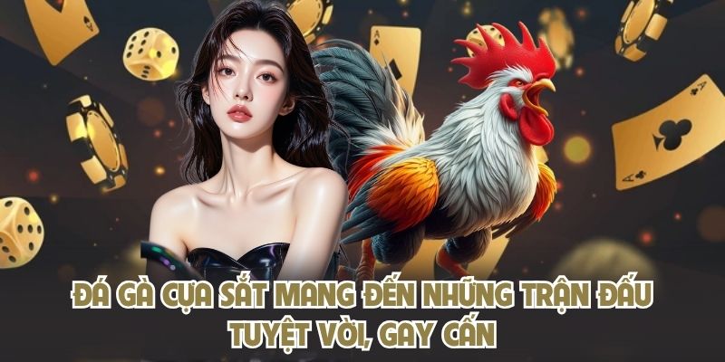 Đá gà cựa sắt mang đến những trận đấu tuyệt vời, gay cấn