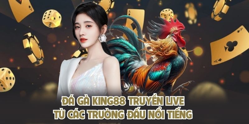 Đá gà KING88 truyền live từ các trường đấu nổi tiếng