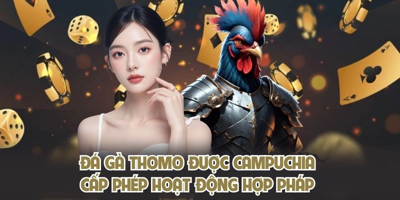 Đá gà Thomo KING88 được Campuchia cấp phép hoạt động hợp pháp