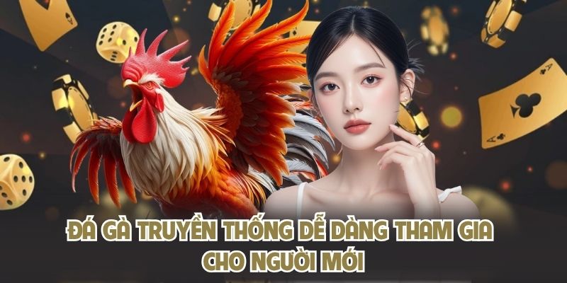 Đá gà truyền thống dễ dàng tham gia cho người mới