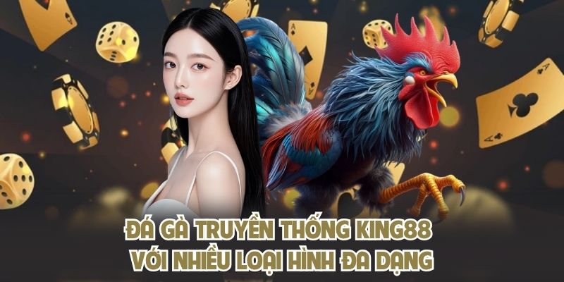 Đá gà truyền thống KING88 với nhiều loại hình đa dạng